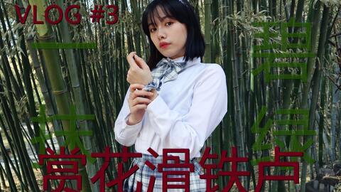 北京胖姐爆料新闻视频,最新热点事件视频揭秘